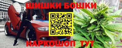 индика Нягань