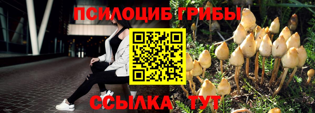 Галлюциногенные грибы ЛСД  Вход с VPN  Глазов 